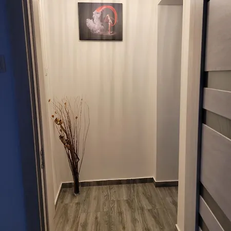Luna Apartment Brașov Exterior foto
