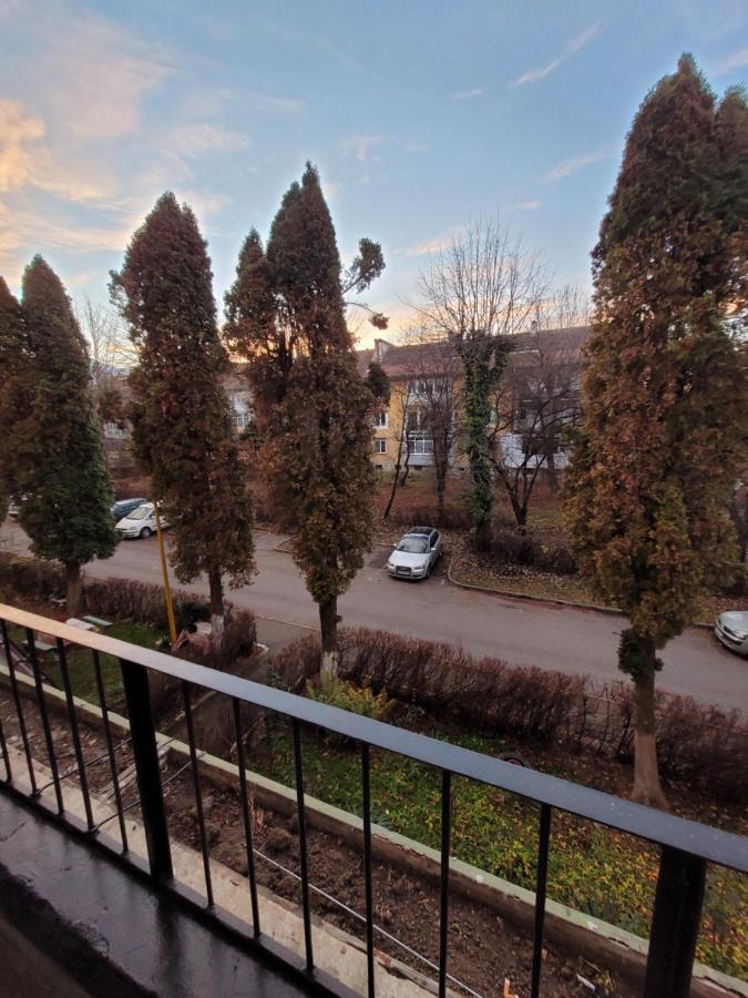Apartament Luna