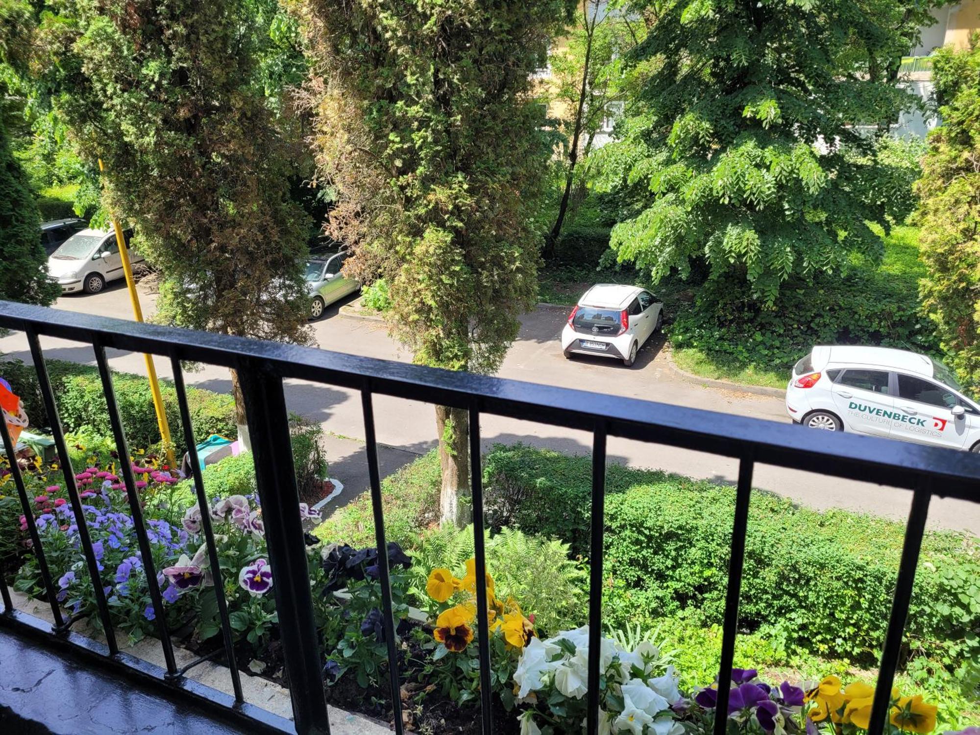 Luna Apartament Brașov